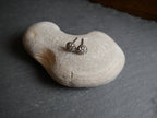 Sterling Silver Stud Earring