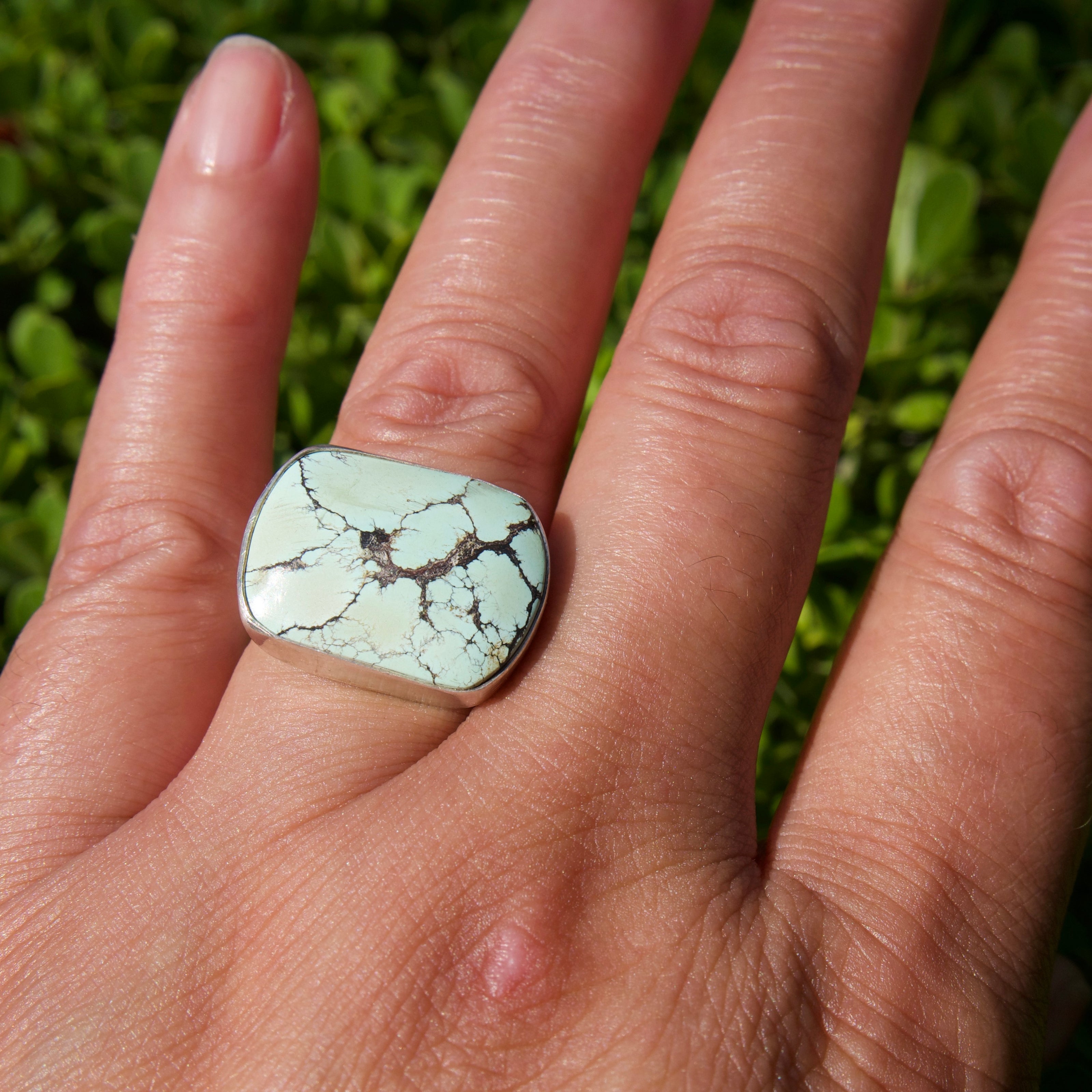 Wild Horse Turquoise Ring - size 8