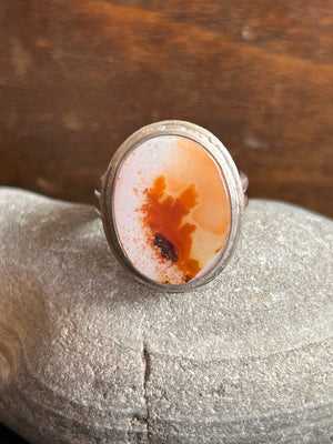 Floral Burst Dendritic Agate - size 6