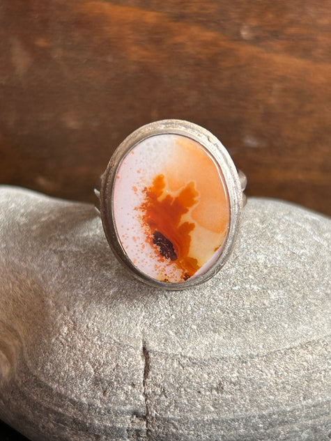 Floral Burst Dendritic Agate - size 6