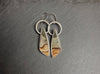 Jasper Dangle Earrings
