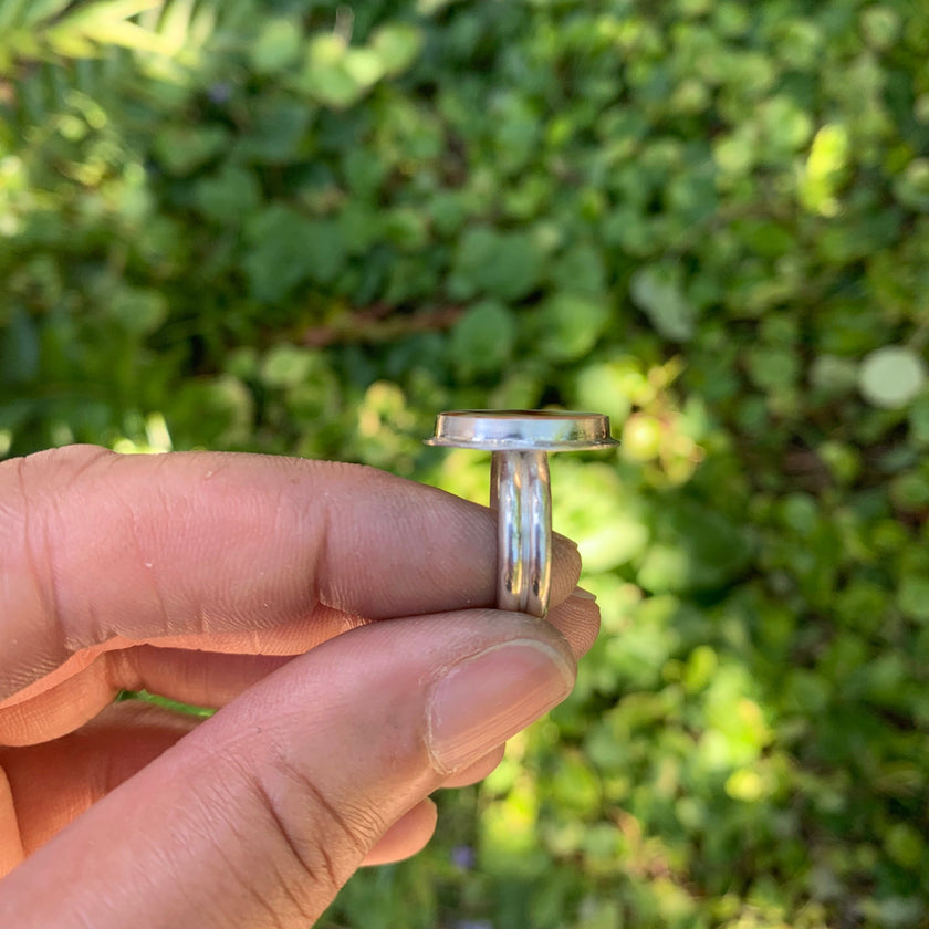 Floral Burst Dendritic Agate - size 6